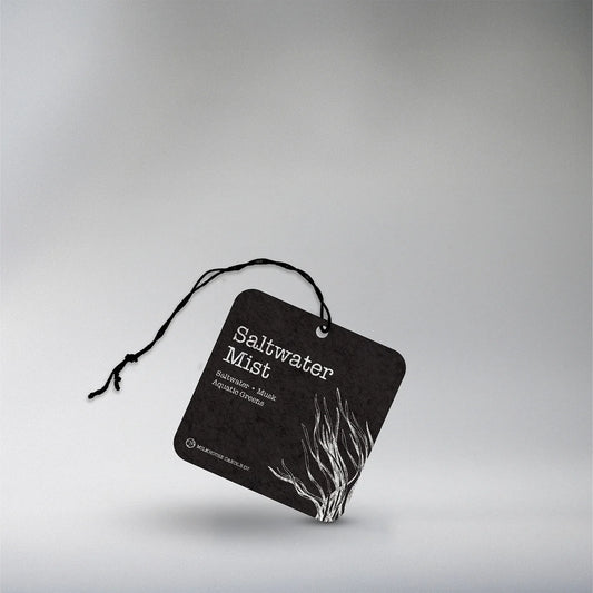 Saltwater Mist - Air Freshener